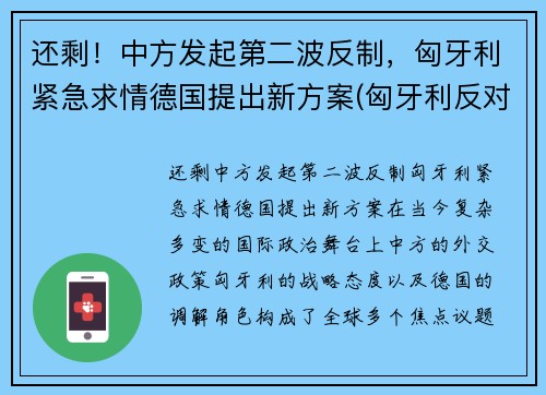 还剩！中方发起第二波反制，匈牙利紧急求情德国提出新方案(匈牙利反对派称若当选将终止中资计划)