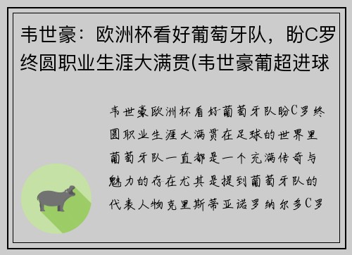 韦世豪：欧洲杯看好葡萄牙队，盼C罗终圆职业生涯大满贯(韦世豪葡超进球视频)