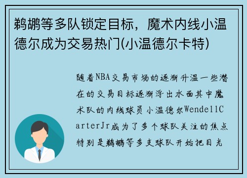 鹈鹕等多队锁定目标，魔术内线小温德尔成为交易热门(小温德尔卡特)